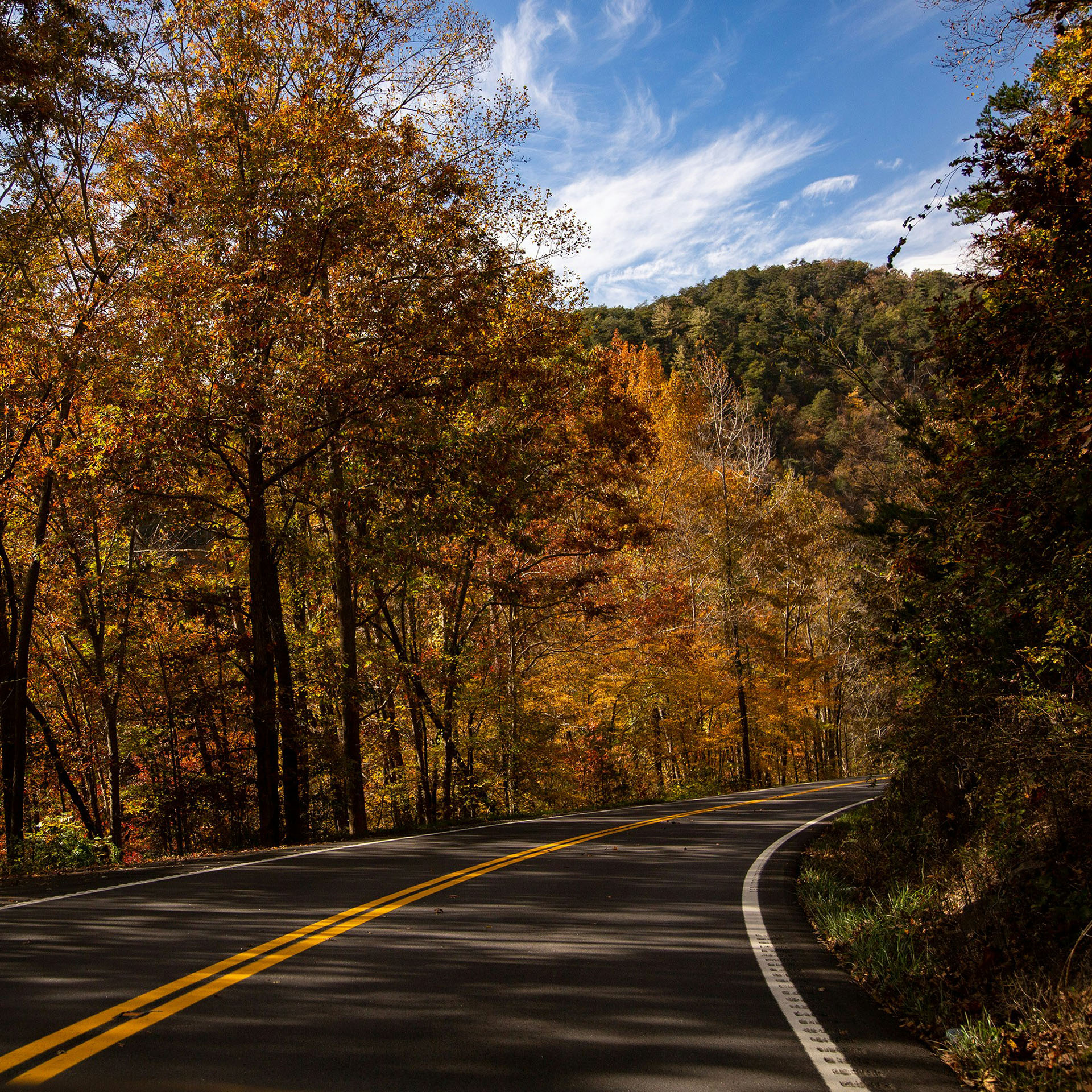 Plumber providing professional plumbing services in Cabot, Arkansas